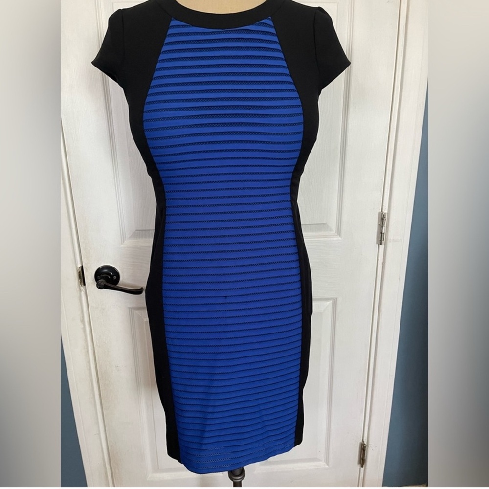 ✨ Maggy London Colorblock Sheath Dress ✨ (Size 10)